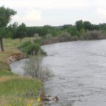 North Platte River Acreage for Sale, Lingle, WY